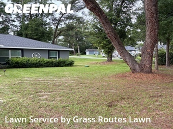 Lawn Mow nearby Ocala, FL, 