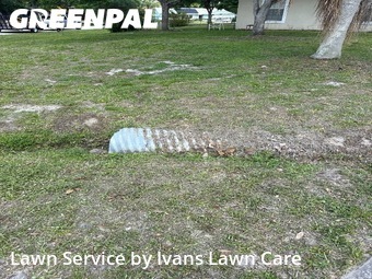 Lawn Cutting nearby Palm Bay, FL, 
