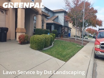 Work completed by yard-maintenance-professionals-in-Elk Grove-CA
