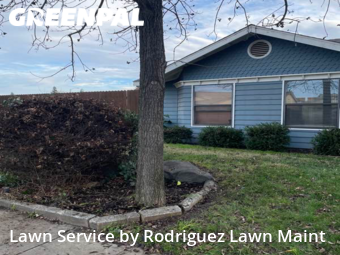 Yard Mowing nearby Tulare, CA, 