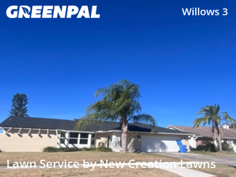 Grass Cuttingin Brandon,33594,Yard Cutting by New Creation Lawns, work completed in Feb , 2026