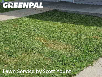 Lawn Mow nearby Freeport, IL, 