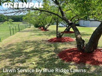 Grass Cut nearby Blue Ridge, TX, 
