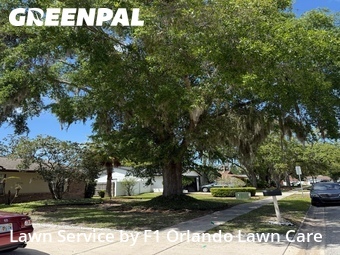 Yard Cutting nearby Winter Park, FL, 