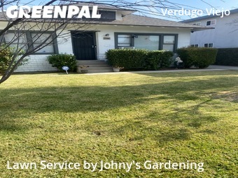 Lawn Maintenance nearby Glendale, CA, 