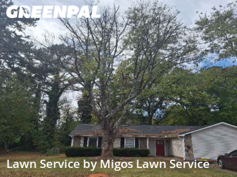 Grass Cuttingin Lawrenceville,30046,Lawn Mowing Service by Migos Lawn Service, work completed in Dec , 2025