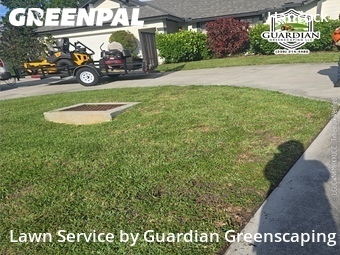 Landscaping Installation Cape Coral,33990,Landscaping Cleanup by Guardian Greenscaping, work completed in Apr , 2026