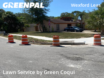 Yard Mowing nearby Palm Harbor, FL, 