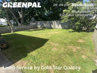 Landscaping Maintenance in Bridgeport, 6605, Lawn Care by Gold Star Quality , work completed in Nov , 2025