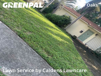 Lawn Carein Fort Lauderdale,33315,Yard Mowing by Caidens Lawncare , work completed in Jan , 2026