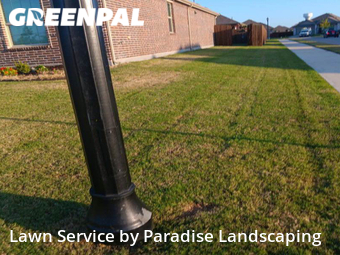 Lawn Maintenance nearby Princeton, TX, 
