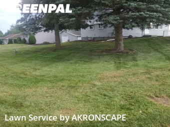 Yard Cutting nearby Barberton, OH, 