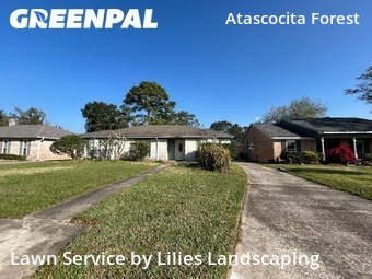 Grass Cuttingin Humble,77396,Lawn Mowing by Lilies Landscaping, work completed in Dec , 2025