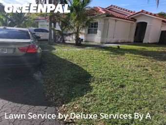 Lawn Work in Margate, 33063, Backyard Mowing by Deluxe Services By A, work completed in Dec , 2025
