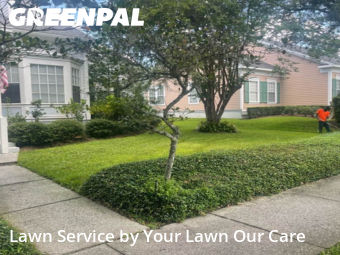 Yard Maintenance in Celebration, 34747, Yard Grooming by Cnp Lawn Care, work completed in Oct , 2025