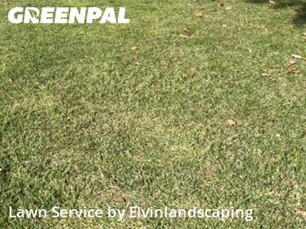 Yard Mowing in Dundalk, 21222, Lawn Maintenance by Elvinlandscaping, work completed in Nov , 2025