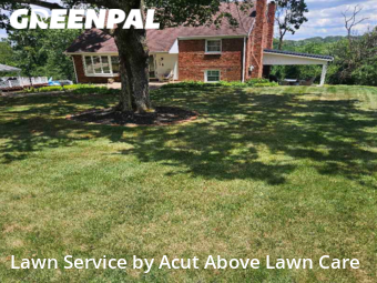 Grass Cutting nearby Pittsburgh, PA, 