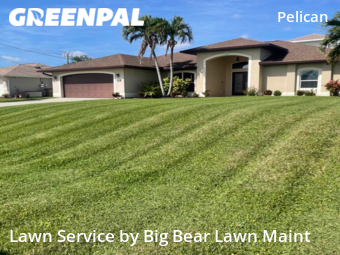 Lawn Cut nearby Cape Coral, FL, 