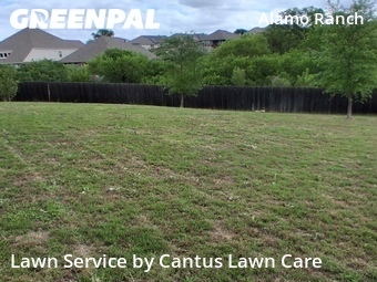 Landscaping Cleanup In San Antonio,78253,Landscaping Maintenance by Cantus Lawn Care, work completed in Apr , 2026