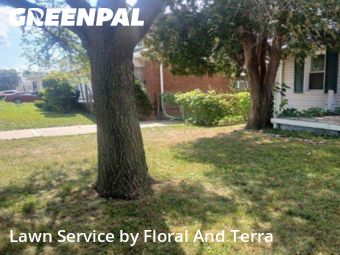 Lawn Maintenance nearby Warren, MI, 