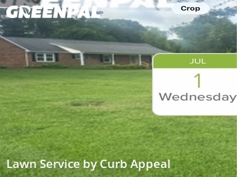 Lawn Cut nearby Harrisburg, NC, 