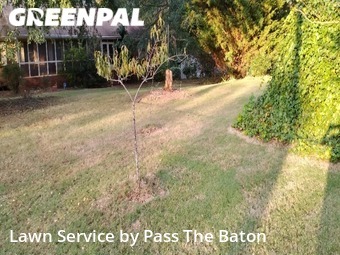 Lawn Mowing nearby Jefferson, GA, 