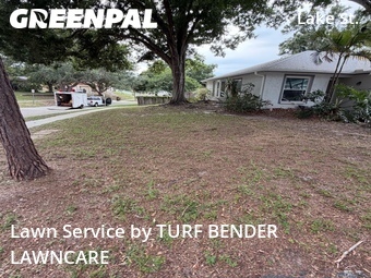 Lawn Care Service nearby Palm Harbor, FL, 