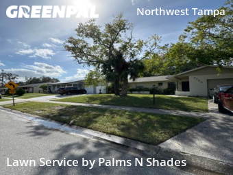 Lawn Mow nearby Tampa, FL, 