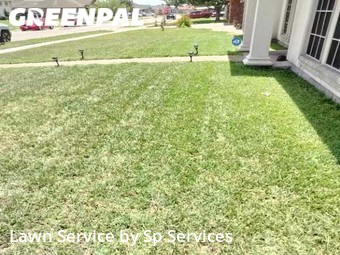 Lawn Mow nearby Corpus Christi, TX, 