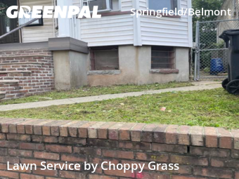 Yard Mowing nearby Newark, NJ, 