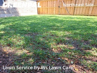 Yard Mowing nearby Converse, TX, 