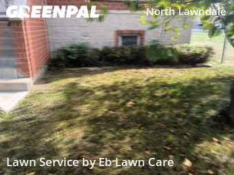 Grass Cut nearby Chicago, IL, 