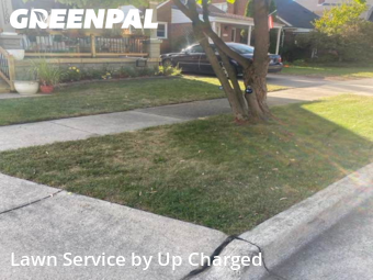 Grass Cut nearby Dearborn, MI, 