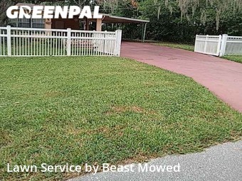 Yard Mowing nearby Tampa, FL, 