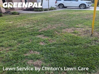 Yard Cutting nearby Seminole, FL, 