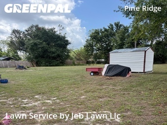 Grass Cut nearby Thonotosassa, FL, 
