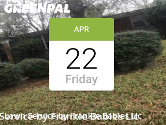 Grass Cut nearby Jacksonville, FL, 