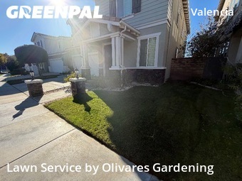 grass-trimming-service-in-Arcadia-CA