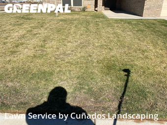 Grass Cut nearby Lubbock, TX, 