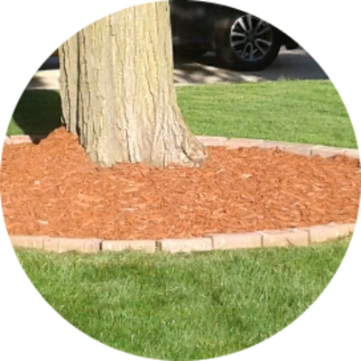 Local Lawn care service near me in South Milwaukee, WI, 53172