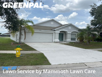 Lawn Mowing nearby Riverview, FL, 