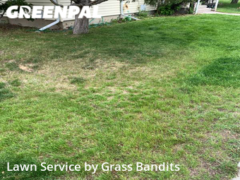 Yard Mowing nearby Billings, MT, 