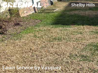 Yard Mowing nearby Nashville, TN, 