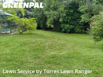 Grass Cutting nearby Palmetto Bay, FL, 