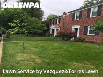 Lawn Cut nearby Washington, MD, 