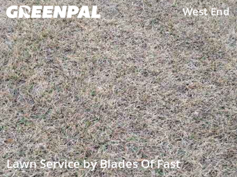 Landscaping In Atlanta,30310,Landscape Design by Blades Of Fast, work completed in Dec , 2025