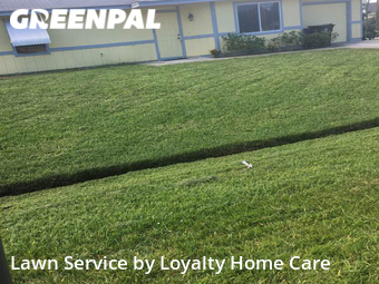 Grass Cut nearby Port St. Lucie, FL, 