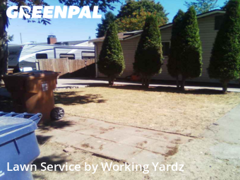 Turf Services in Federal Way, 98003, Weed Trimming by Working Yardz, work completed in Nov , 2025