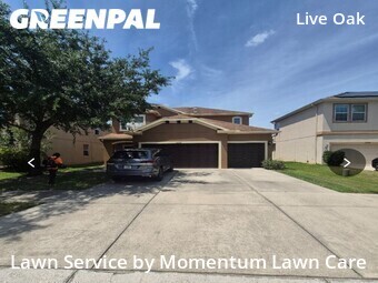 Lawn Mowing Service nearby Tampa, FL, 