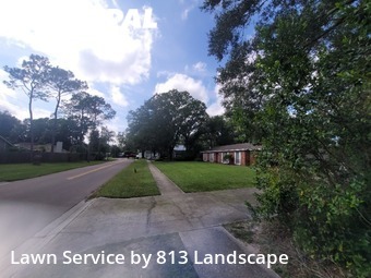 Grass Cut nearby Tampa, FL, 